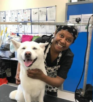 Diva7 Dog grooming